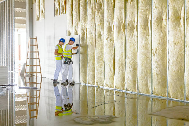 Best Types of Insulation in Wisr, NE